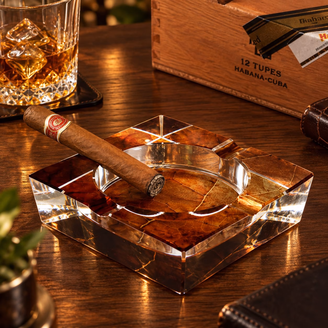 Cigar Ashtrays